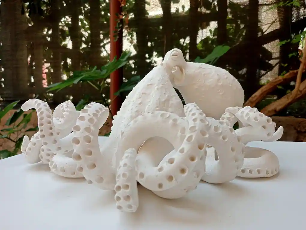 Polpo in ceramica - Immagine 6